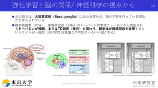 強化学習と脳の関係/ 神経科学の視点から
Shota Imai | The University of Tokyo
14
 人の脳では，大脳基底核（Basal ganglia）にあたる部分が，強化学習を行っている部位
だと考えられている
 腹側被蓋野（VTA），黒質緻密部（SNc）のドーパミン作動性ニューロンから放出され
るドーパミンが報酬，またはTD誤差（後述）と関わり，線条体が価値関数を表現すると
いうモデルが一般的（具体的な計算論との対応はいろいろ説がある）
http://rail.eecs.berkeley.edu/deeprlcourse/ Sutton, 2018 http://incompleteideas.net/book/RLbook2020.pdfDoya, 1999, http://www.brain-ai.jp/jp/project-outline/
 