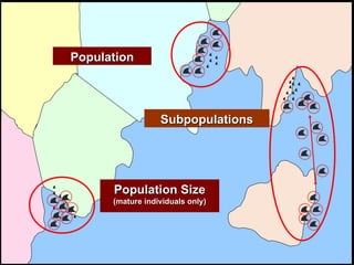 Population Population Size (mature individuals only) Subpopulations 