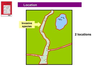 Location 2 locations Invasive species 