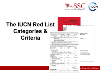 The IUCN Red List Categories & Criteria 