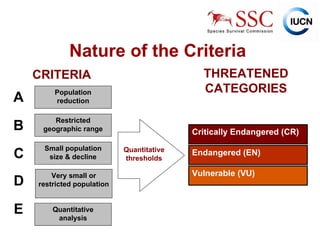 CRITERIA Nature of the Criteria A Population reduction B Restricted geographic range C Small population size & decline Very small or restricted population D E Quantitative analysis Quantitative thresholds THREATENED CATEGORIES Critically Endangered (CR) Endangered (EN) Vulnerable (VU) 