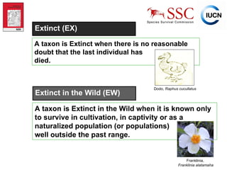A taxon is Extinct when there is no reasonable  doubt that the last individual has  died.   Dodo,  Raphus cucullatus Extinct (EX) Extinct in the Wild (EW) A taxon is Extinct in the Wild when it is known only to survive in cultivation, in captivity or as a naturalized population (or populations)  well outside the past range.   Franklinia,   Franklinia alatamaha Photo  ©  Craig Hilton-Taylor 