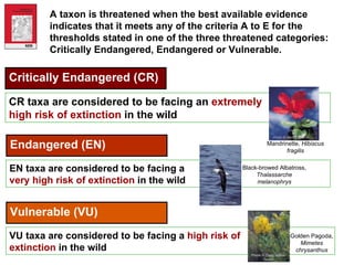 A taxon is threatened when the best available evidence indicates that it meets any of the criteria A to E for the thresholds stated in one of the three threatened categories: Critically Endangered, Endangered or Vulnerable.  Critically Endangered (CR) CR taxa are considered to be facing an  extremely  high risk of extinction  in the wild Mandrinette,  Hibiscus fragilis Photo  © Wendy Strahm Endangered (EN) EN taxa are considered to be facing a  very high risk of extinction   in the wild Black-browed Albatross,  Thalassarche melanophrys Photo  © Tony Palliser Vulnerable (VU) VU taxa are considered to be facing a  high risk of  extinction  in the wild Golden Pagoda,  Mimetes chrysanthus Photo  © Craig Hilton-Taylor 