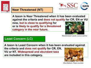 Near Threatened (NT) A taxon is Near Threatened when it has been evaluated against the criteria and  does not qualify  for CR, EN or VU now,  but is close to qualifying  for  or is   likely to qualify for a threatened  category in the near future . Macaronesian Laurel,  Laurus azorica Photo  © H. Fraga Least Concern (LC) A taxon is Least Concern when it has been evaluated against the criteria and  does not qualify  for CR, EN,  VU or NT.  Widespread and abundant taxa   are included in this category. Olive Baboon,  Papio anumbis Photo  © Caroline Pollock 