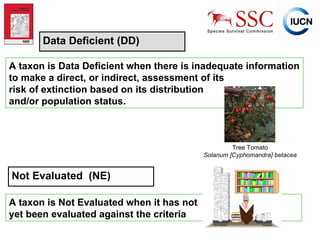 Data Deficient (DD) A taxon is Data Deficient when there is inadequate information to make a direct, or indirect, assessment of its  risk of extinction based on its distribution  and/or population status.   Tree Tomato Solanum [Cyphomandra] betacea Not Evaluated  (NE) A taxon is Not Evaluated when it has not  yet been evaluated against the criteria   