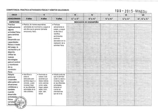 diseño curricular 2015 
