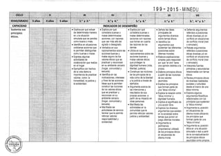 diseño curricular 2015 