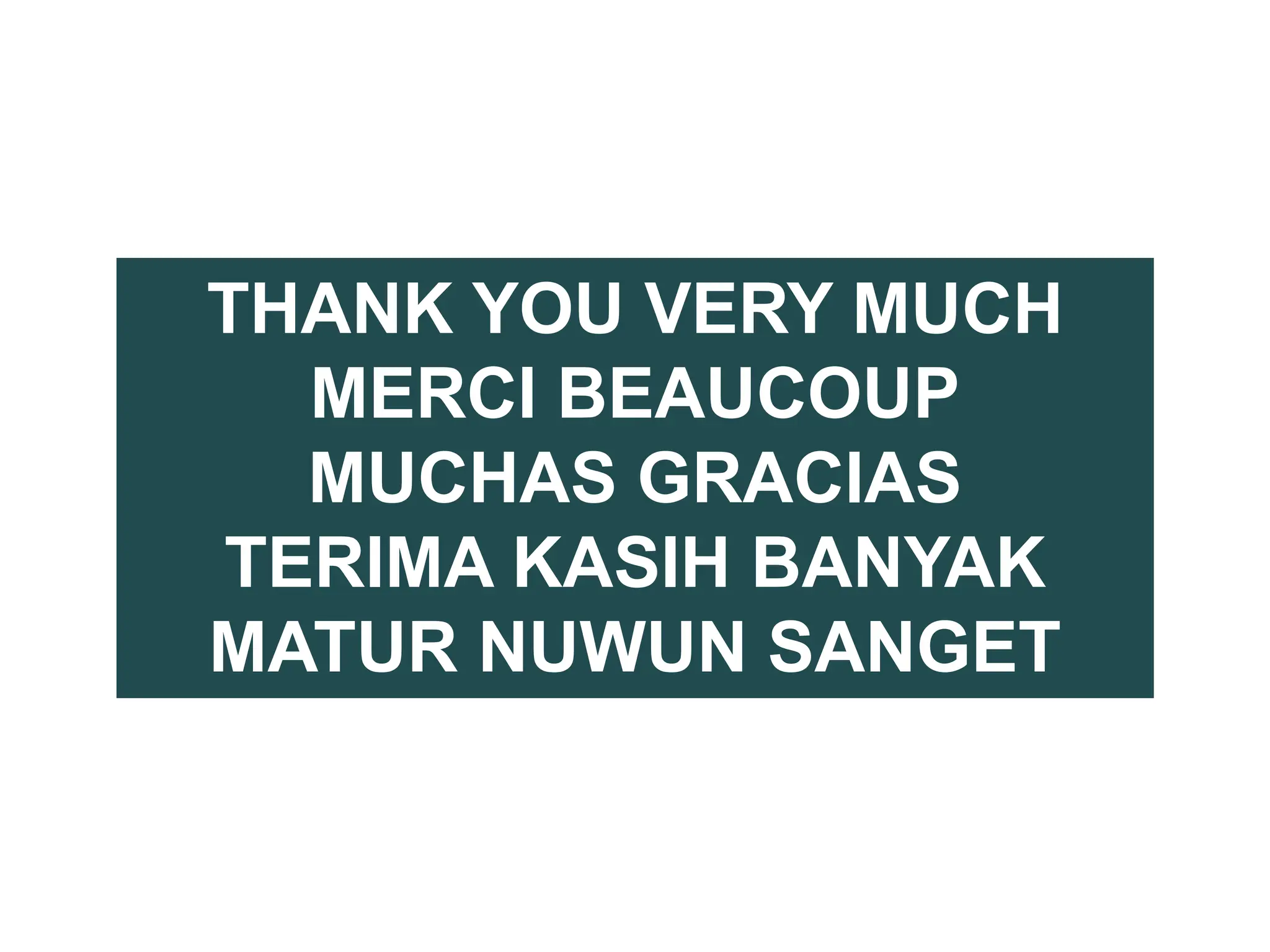 THANK YOU VERY MUCH
MERCI BEAUCOUP
MUCHAS GRACIAS
TERIMA KASIH BANYAK
MATUR NUWUN SANGET
 