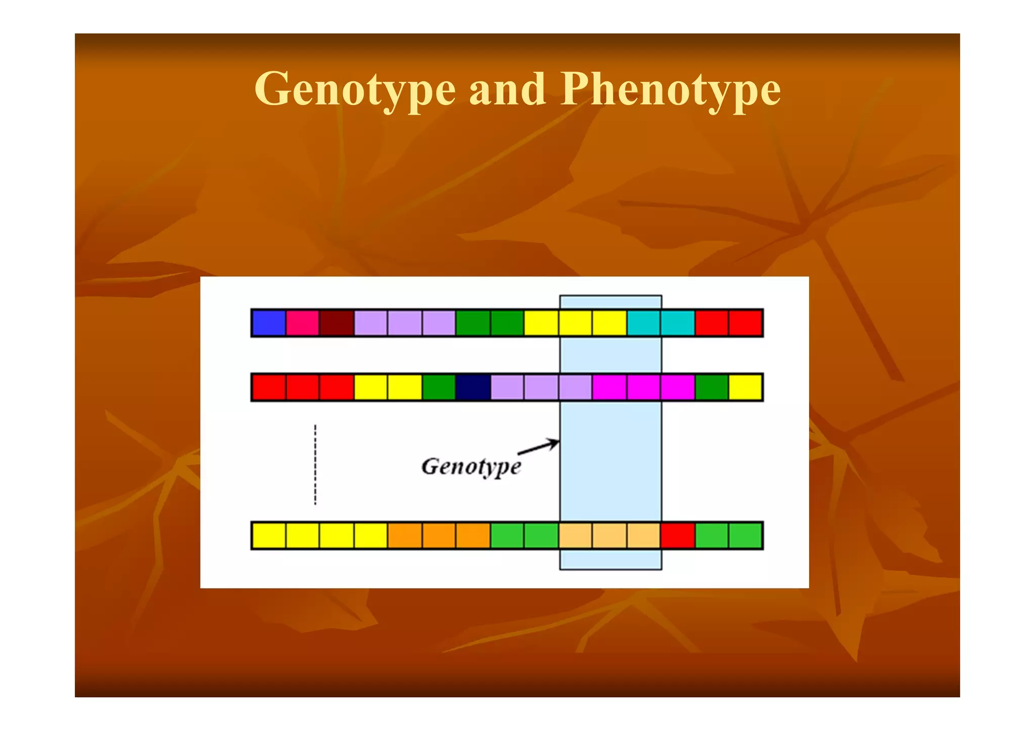 Genotype and Phenotype
 