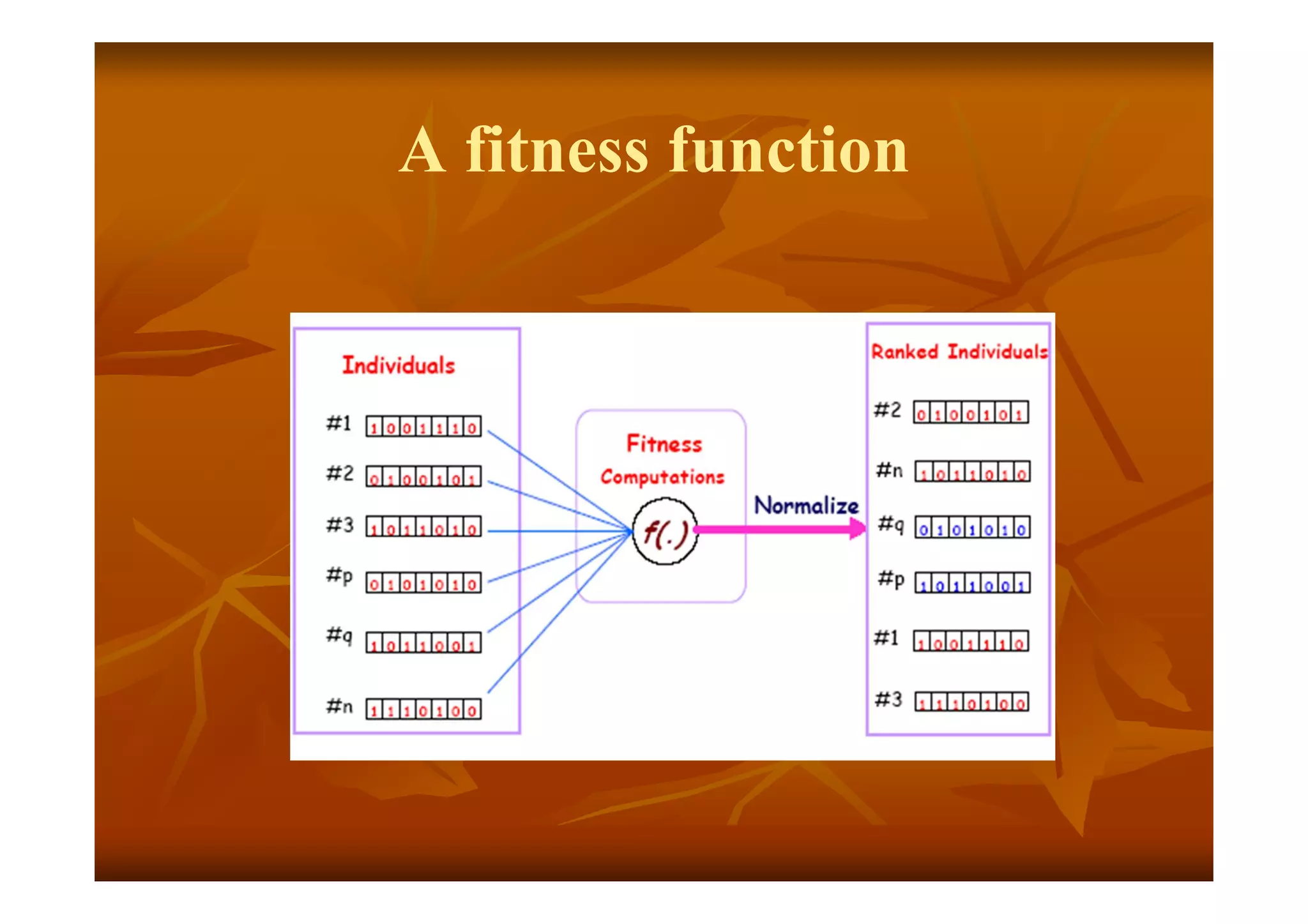 A fitness function
 
