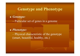Genotype and Phenotype
 Genotype:
– Particular set of genes in a genome
 Phenotype:
– Physical characteristic of the genotype
(smart, beautiful, healthy, etc.)
 