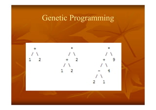 Genetic Programming
 