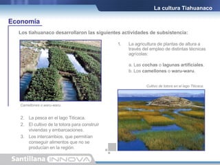 1. La agricultura de plantas de altura a través del empleo de distintas técnicas agrícolas: a. Las  cochas  o  lagunas artificiales . b. Los  camellones  o  waru-waru . Los tiahuanaco desarrollaron las siguientes actividades de subsistencia: La cultura Tiahuanaco 2. La pesca en el lago Titicaca. El cultivo de la totora para construir viviendas y embarcaciones. Los intercambios, que permitían conseguir alimentos que no se producían en la región. Cultivo de totora en el lago Titicaca. Camellones o waru-waru. Economía 