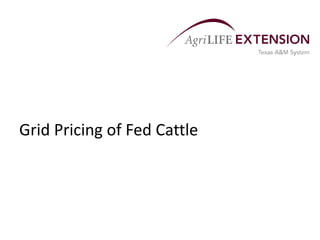 Grid Pricing of Fed Cattle
 