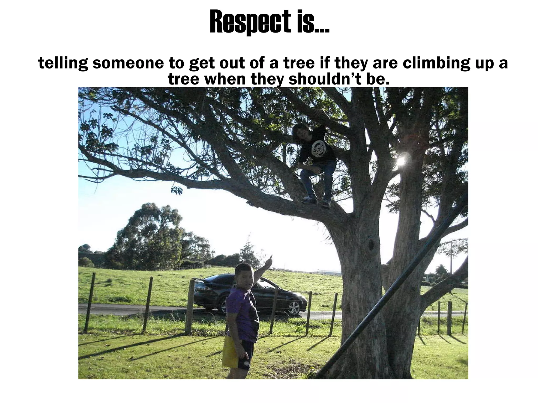 Respect is… telling someone to get out of a tree if they are climbing up a tree when they shouldn’t be.  