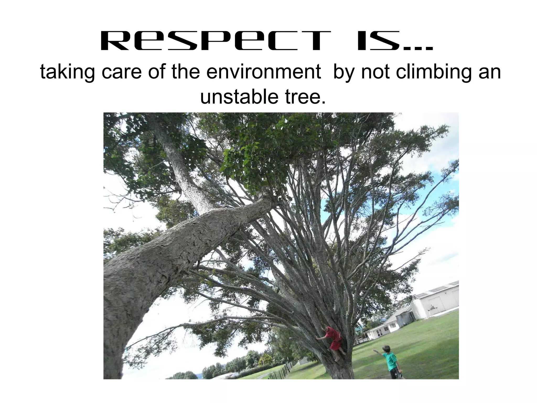 Respect is… taking care of the environment  by not climbing an unstable tree.   