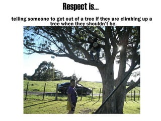 Respect is… telling someone to get out of a tree if they are climbing up a tree when they shouldn’t be.
