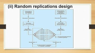 (ii) Random replications design
 