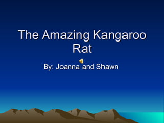 The Amazing Kangaroo Rat By: Joanna and Shawn  
