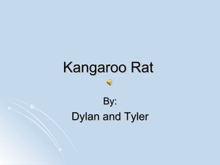 Kangaroo Rat By: Dylan and Tyler 