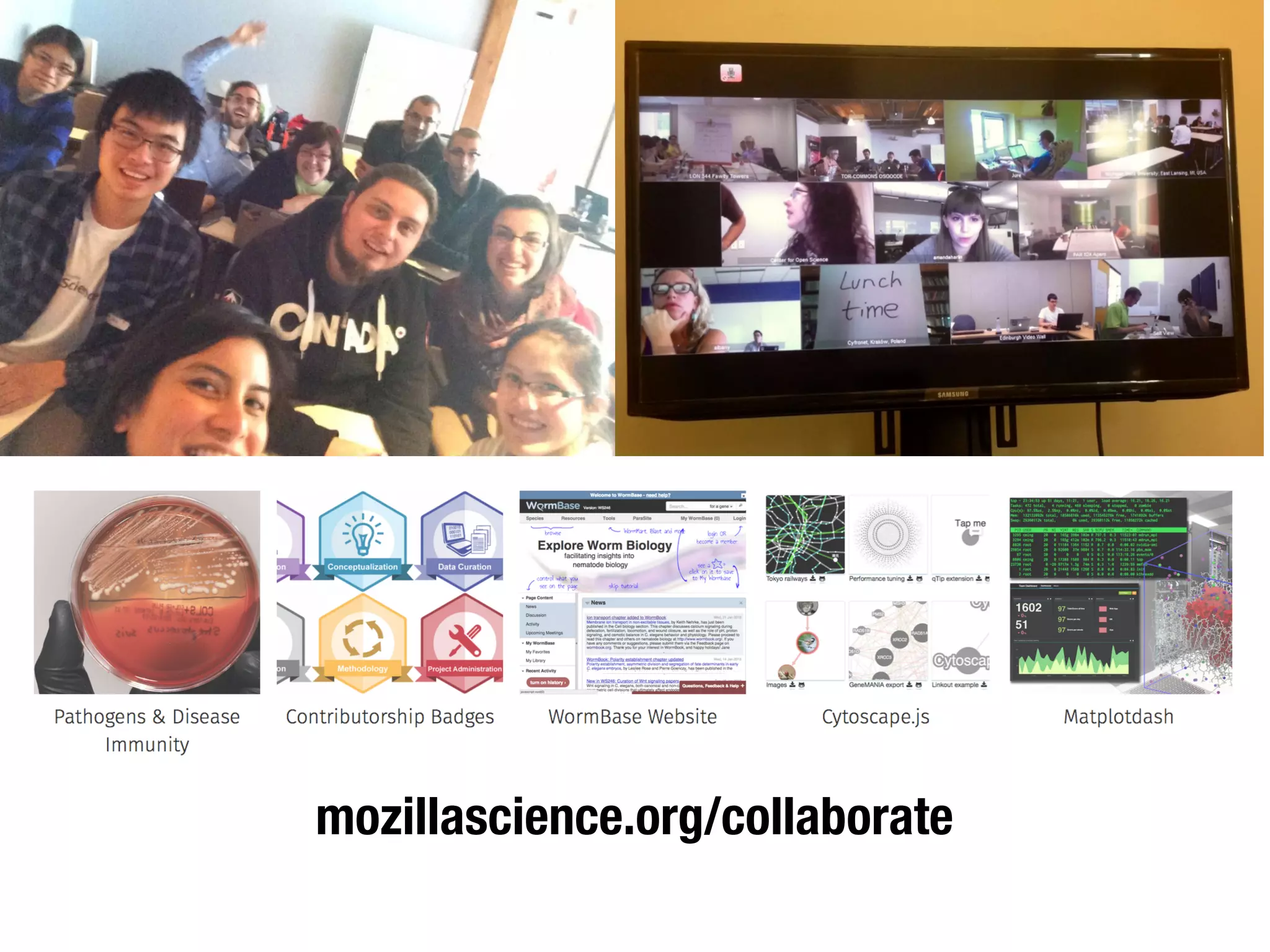 mozillascience.org/collaborate
 