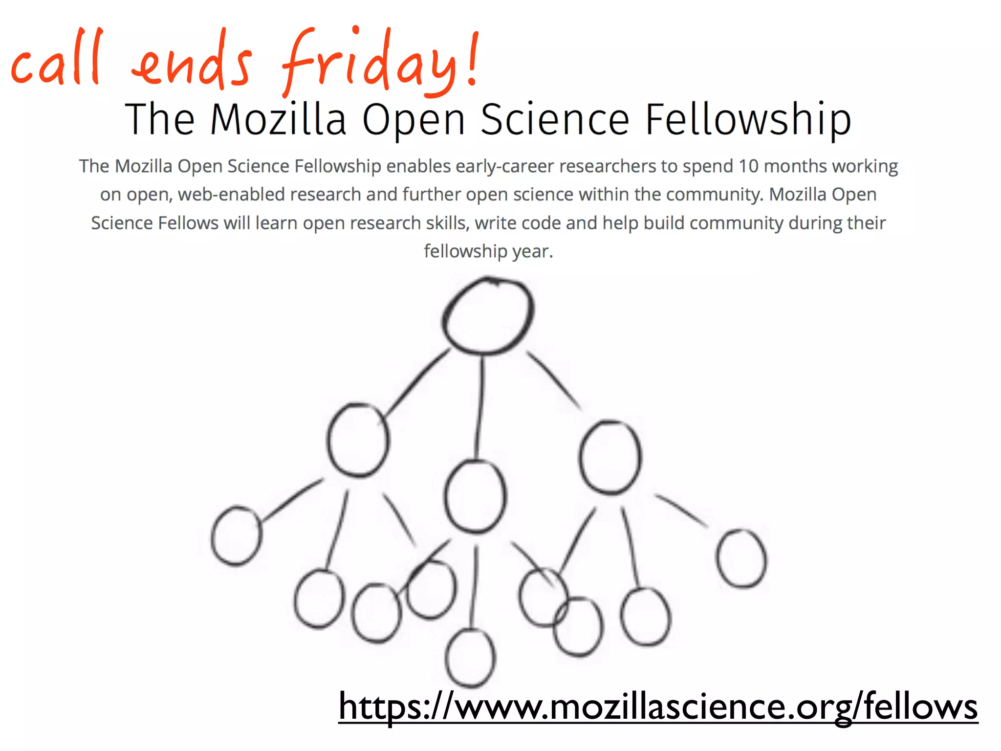 https://www.mozillascience.org/fellows
 