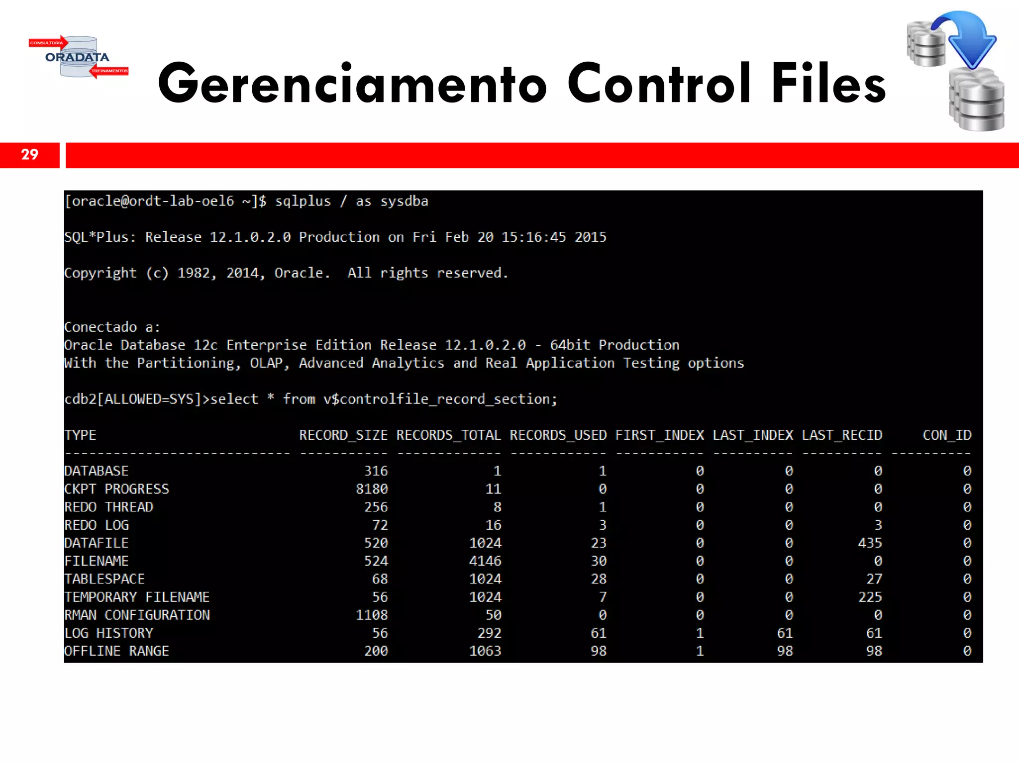 Gerenciamento Control Files
29
 