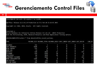Gerenciamento Control Files
29
 