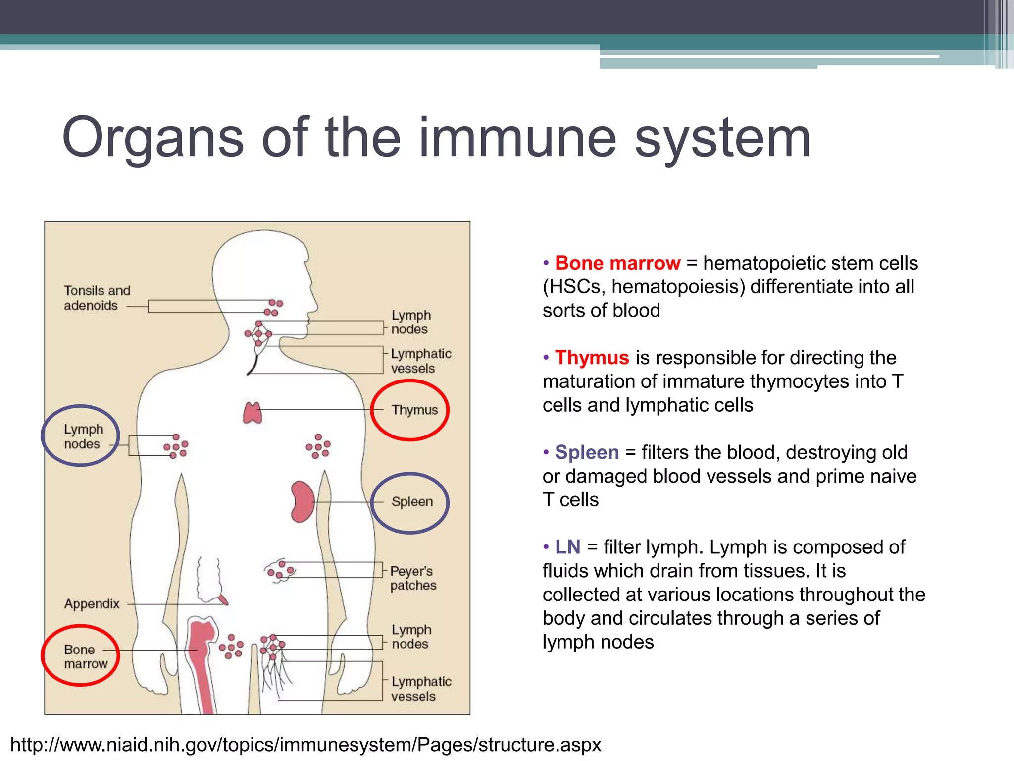 Cells and organs of Immune systems | PPTX