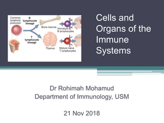 Cells and
Organs of the
Immune
Systems
Dr Rohimah Mohamud
Department of Immunology, USM
21 Nov 2018
 