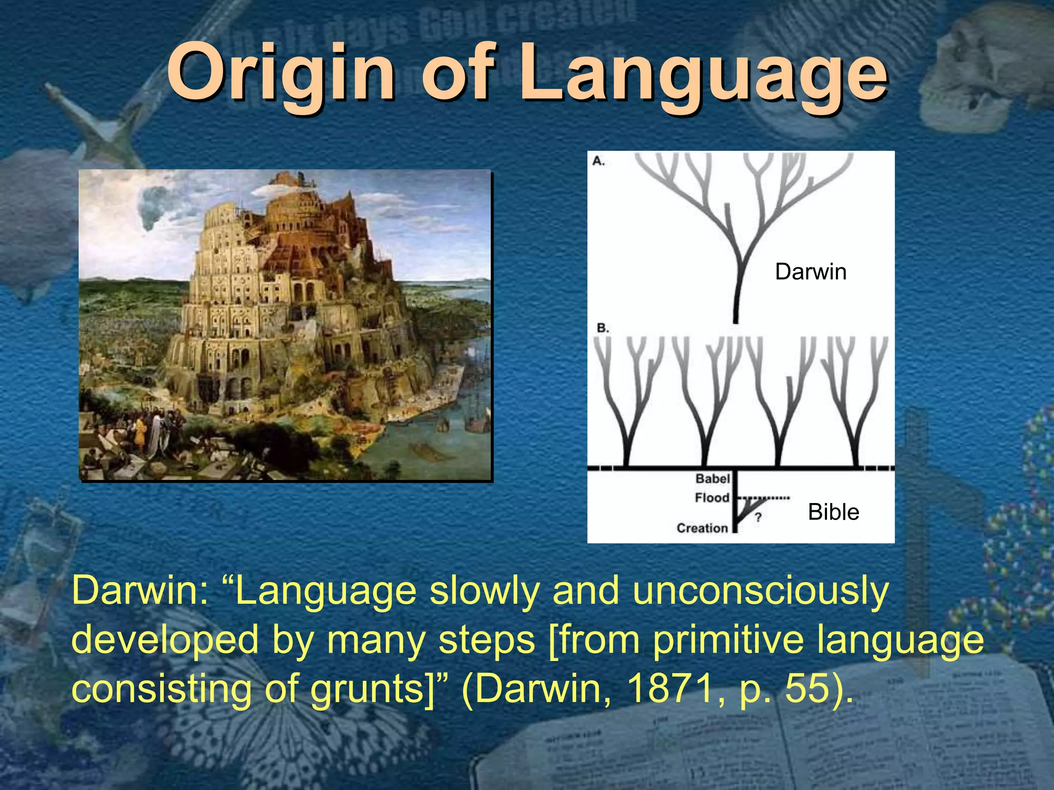 Origin of Language 
Darwin 
Bible 
Darwin: “Language slowly and unconsciously 
developed by many steps [from primitive language 
consisting of grunts]” (Darwin, 1871, p. 55). 
 