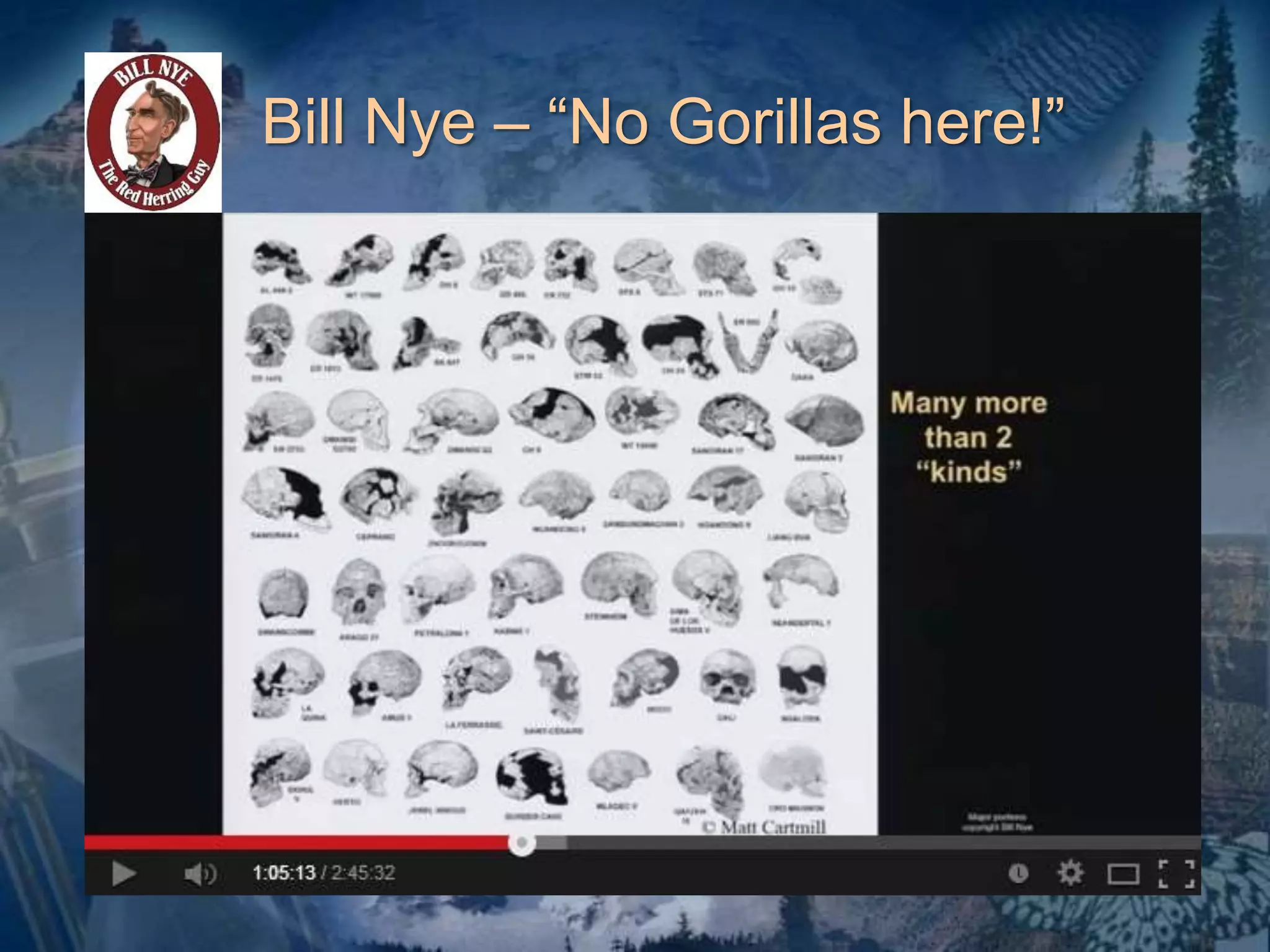 Bill Nye – “No Gorillas here!” 
 