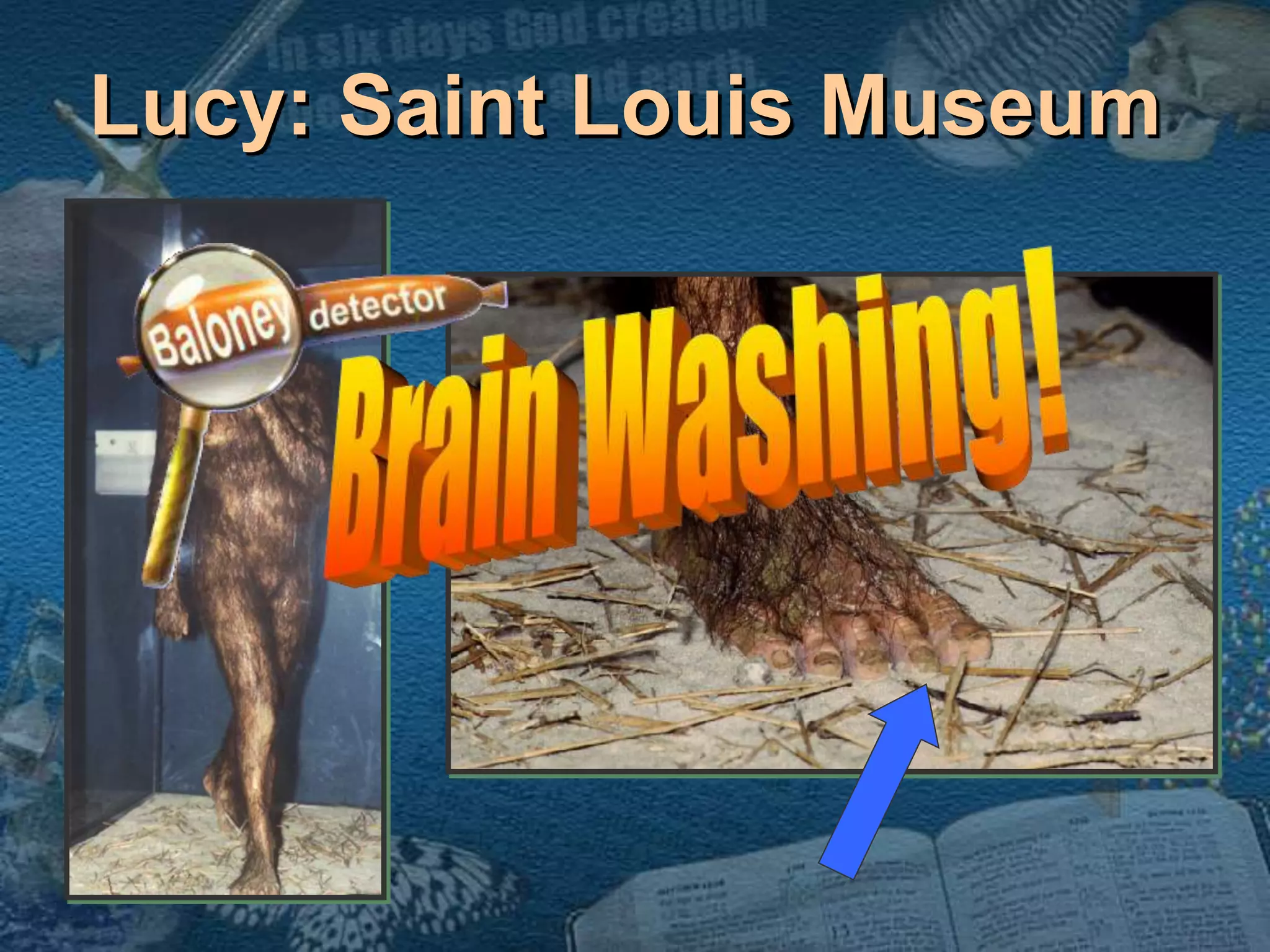 Lucy: Saint Louis Museum 
 
