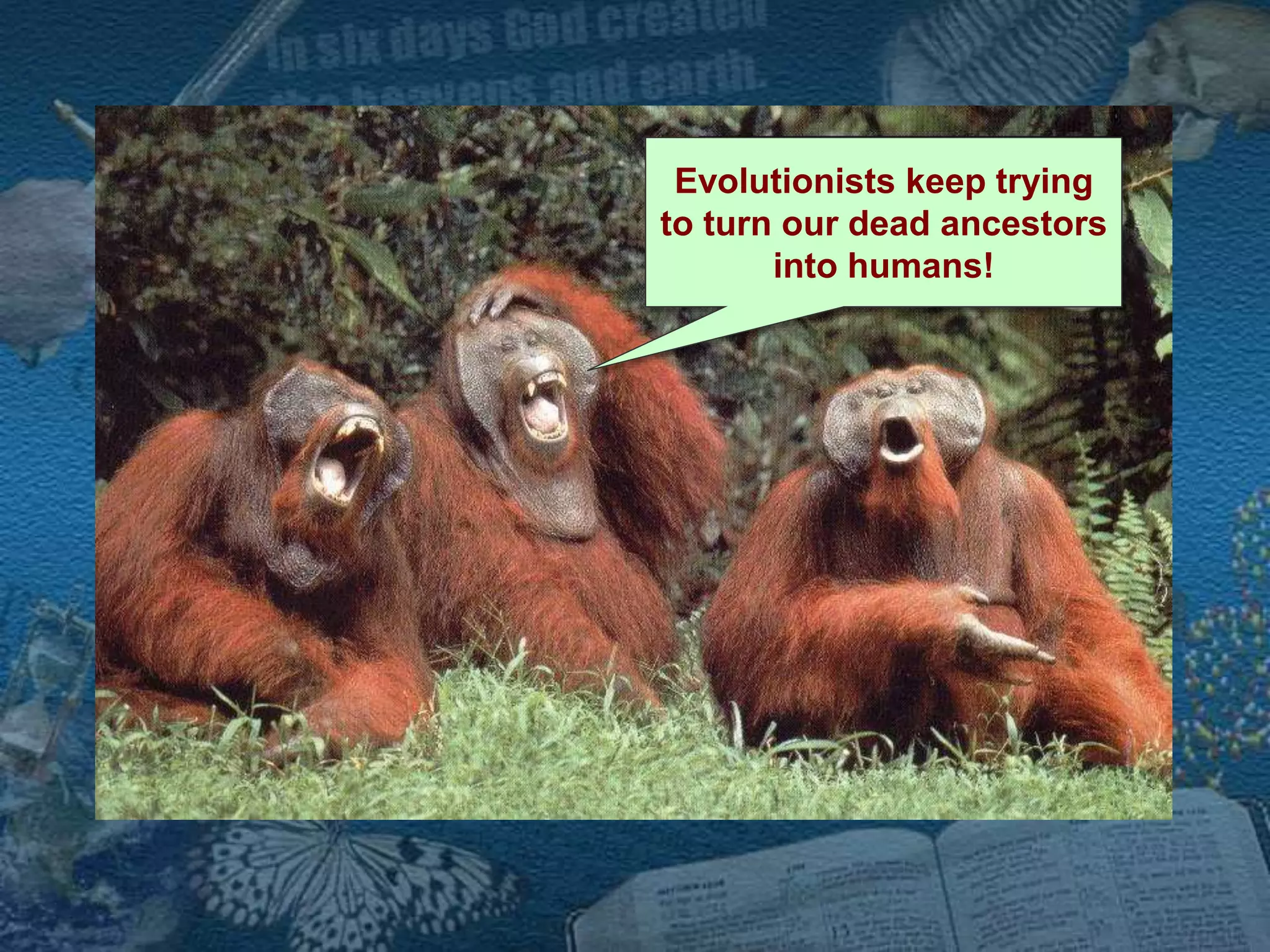 Evolutionists keep trying 
to turn our dead ancestors 
into humans! 
 