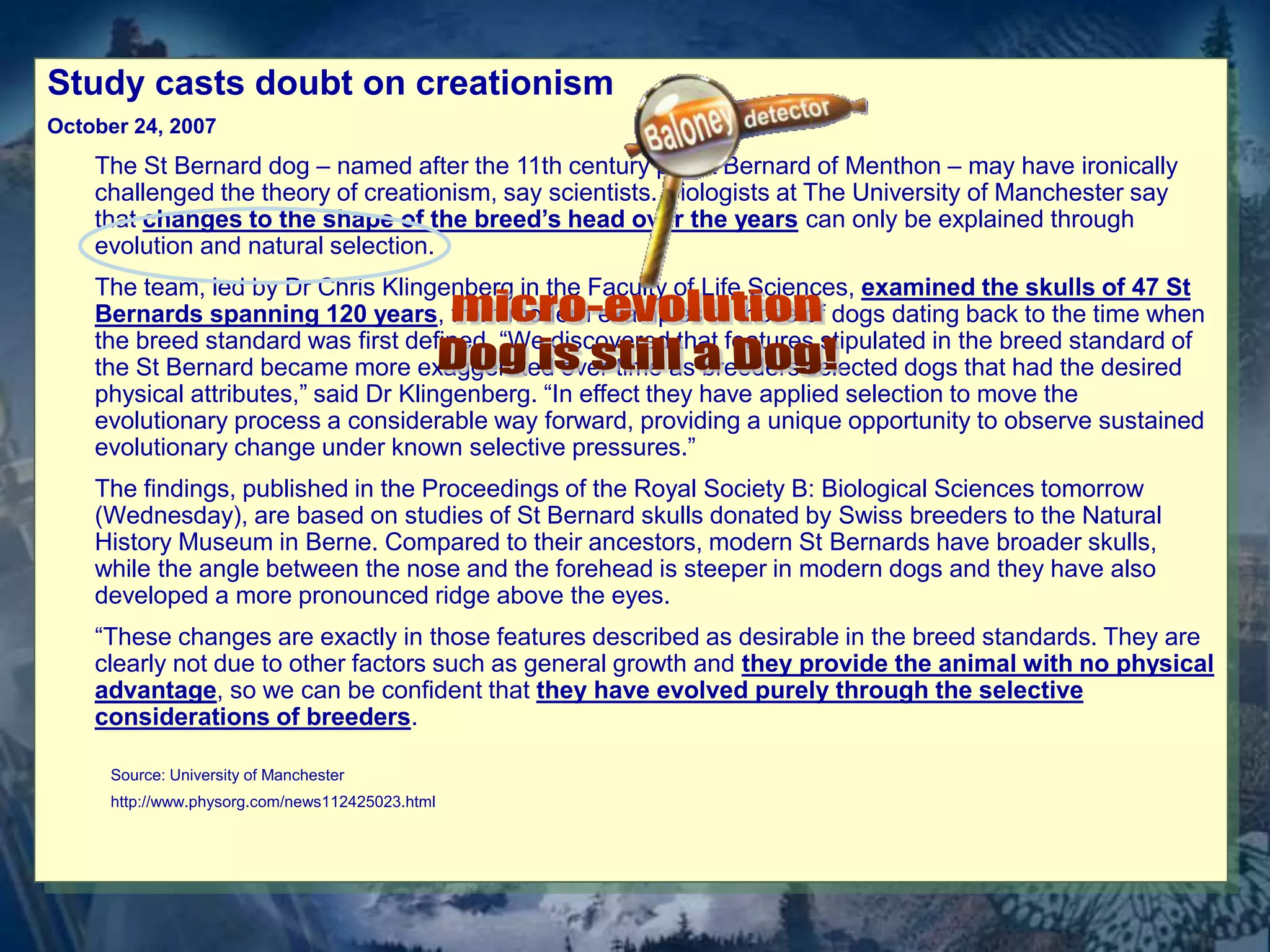 Study casts doubt on creationism 
October 24, 2007 
The St Bernard dog – named after the 11th century priest Bernard of Menthon – may have ironically 
challenged the theory of creationism, say scientists. Biologists at The University of Manchester say 
that changes to the shape of the breed’s head over the years can only be explained through 
evolution and natural selection. 
The team, led by Dr Chris Klingenberg in the Faculty of Life Sciences, examined the skulls of 47 St 
Bernards spanning 120 years, from modern examples to those of dogs dating back to the time when 
the breed standard was first defined. “We discovered that features stipulated in the breed standard of 
the St Bernard became more exaggerated over time as breeders selected dogs that had the desired 
physical attributes,” said Dr Klingenberg. “In effect they have applied selection to move the 
evolutionary process a considerable way forward, providing a unique opportunity to observe sustained 
evolutionary change under known selective pressures.” 
The findings, published in the Proceedings of the Royal Society B: Biological Sciences tomorrow 
(Wednesday), are based on studies of St Bernard skulls donated by Swiss breeders to the Natural 
History Museum in Berne. Compared to their ancestors, modern St Bernards have broader skulls, 
while the angle between the nose and the forehead is steeper in modern dogs and they have also 
developed a more pronounced ridge above the eyes. 
“These changes are exactly in those features described as desirable in the breed standards. They are 
clearly not due to other factors such as general growth and they provide the animal with no physical 
advantage, so we can be confident that they have evolved purely through the selective 
considerations of breeders. 
Source: University of Manchester 
http://www.physorg.com/news112425023.html 
 