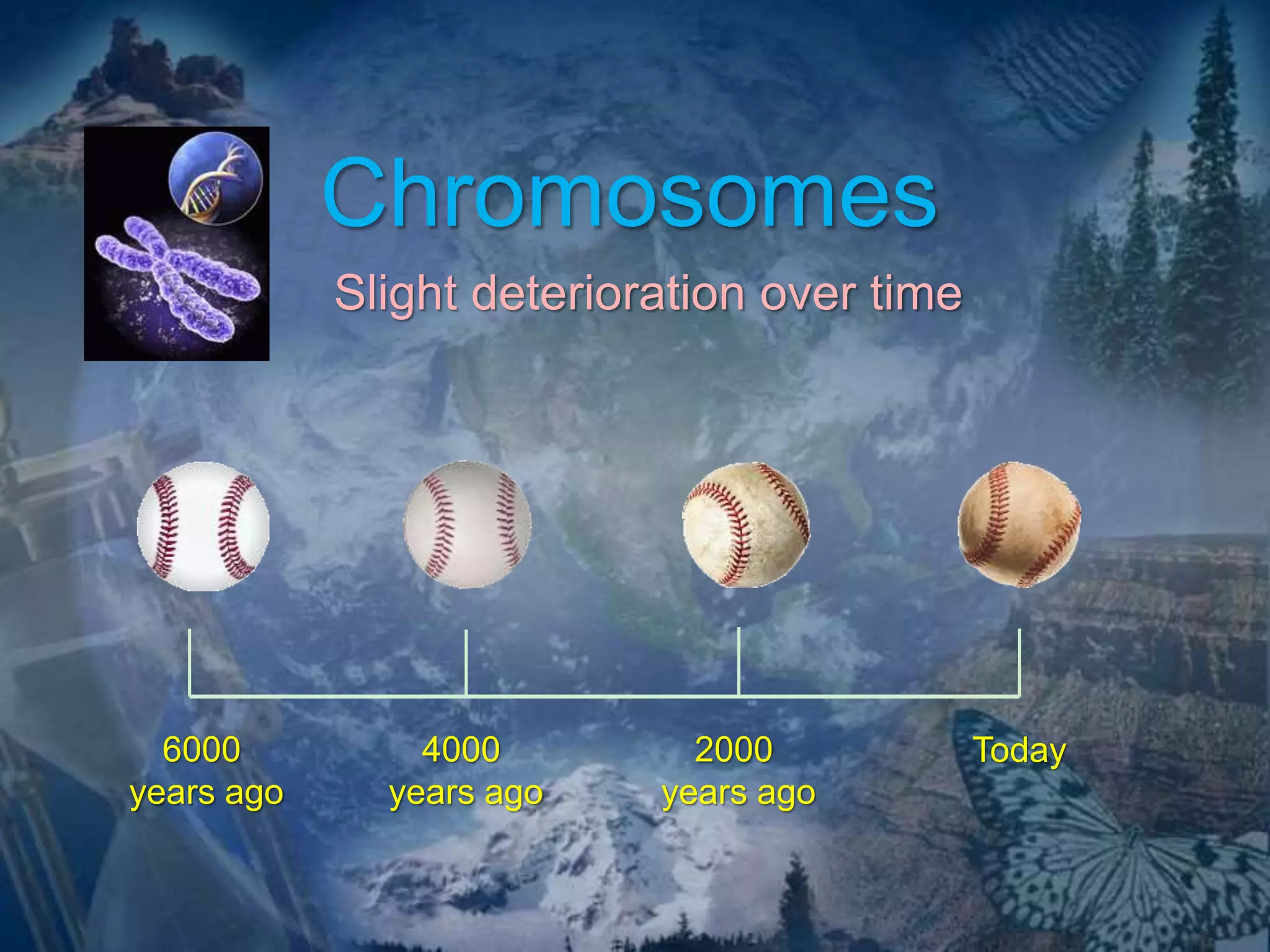 Chromosomes 
Slight deterioration over time 
6000 
years ago 
4000 
years ago 
2000 
years ago 
Today 
 
