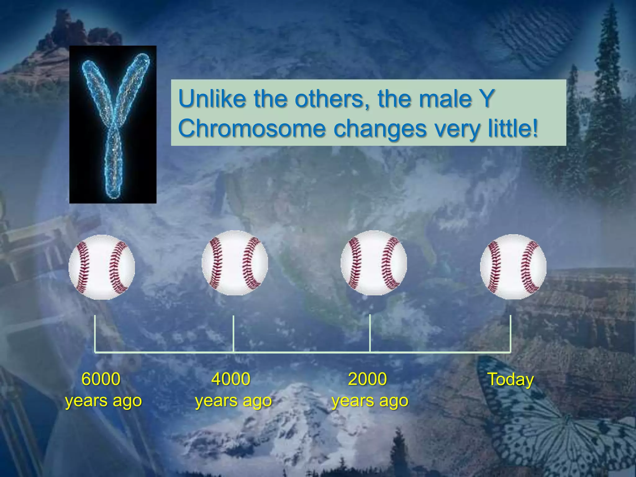 6000 
years ago 
Unlike the others, the male Y 
Chromosome changes very little! 
4000 
years ago 
2000 
years ago 
Today 
 