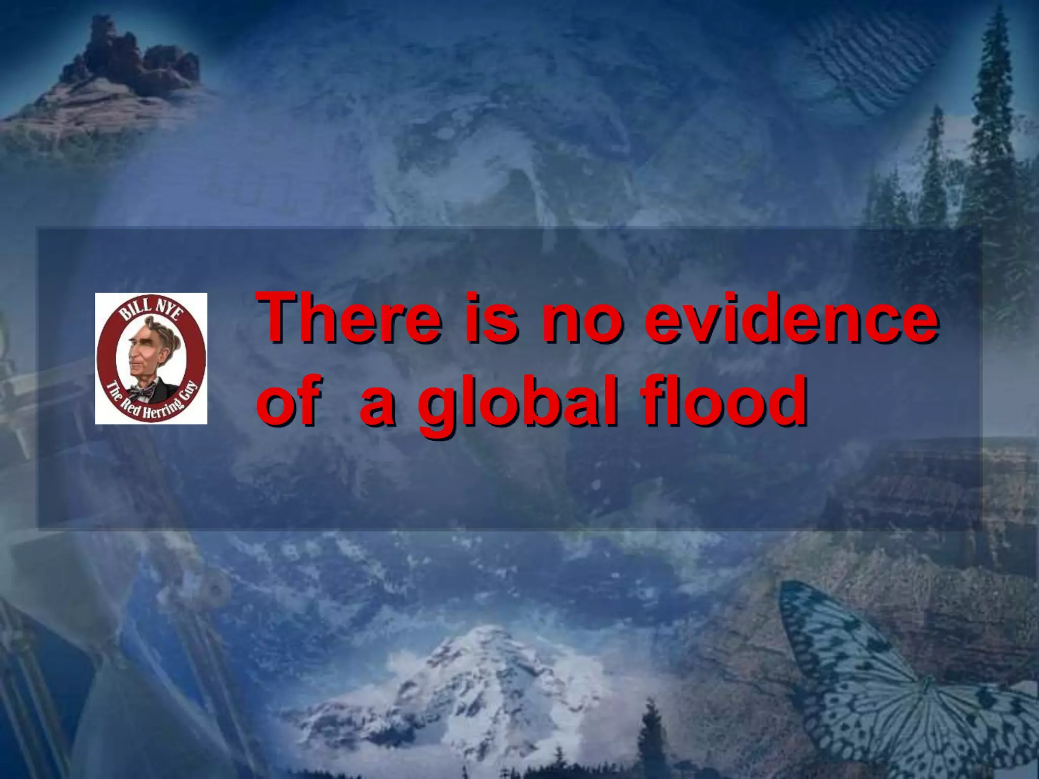 There is no evidence 
of a global flood 
 