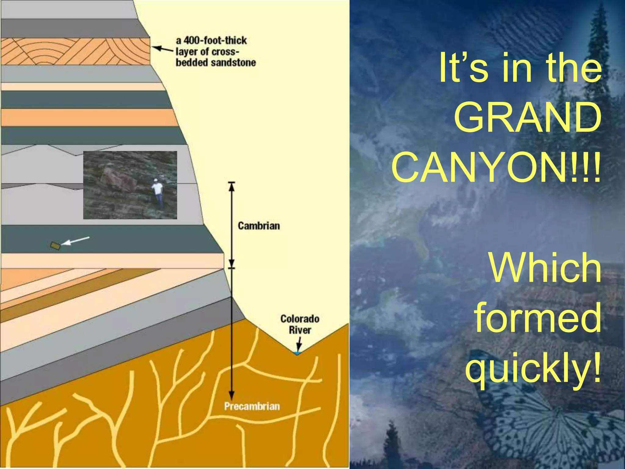 It’s in the 
GRAND 
CANYON!!! 
Which 
formed 
quickly! 
 