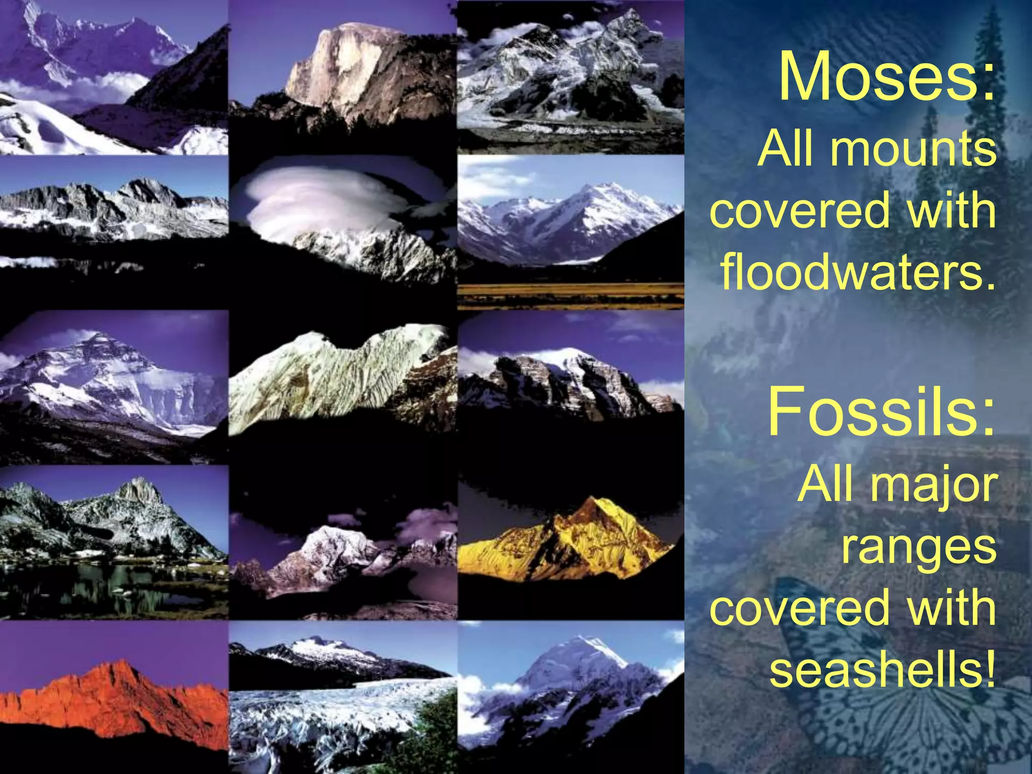 Moses: 
All mounts 
covered with 
floodwaters. 
Fossils: 
All major 
ranges 
covered with 
seashells! 
 