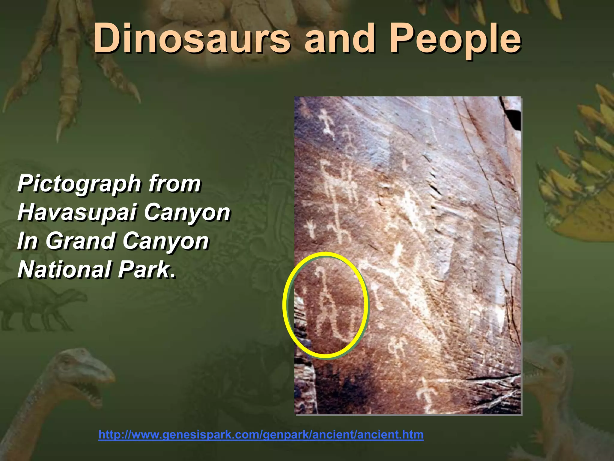 Dinosaurs and People 
Pictograph from 
Havasupai Canyon 
In Grand Canyon 
National Park. 
http://www.genesispark.com/genpark/ancient/ancient.htm 
 