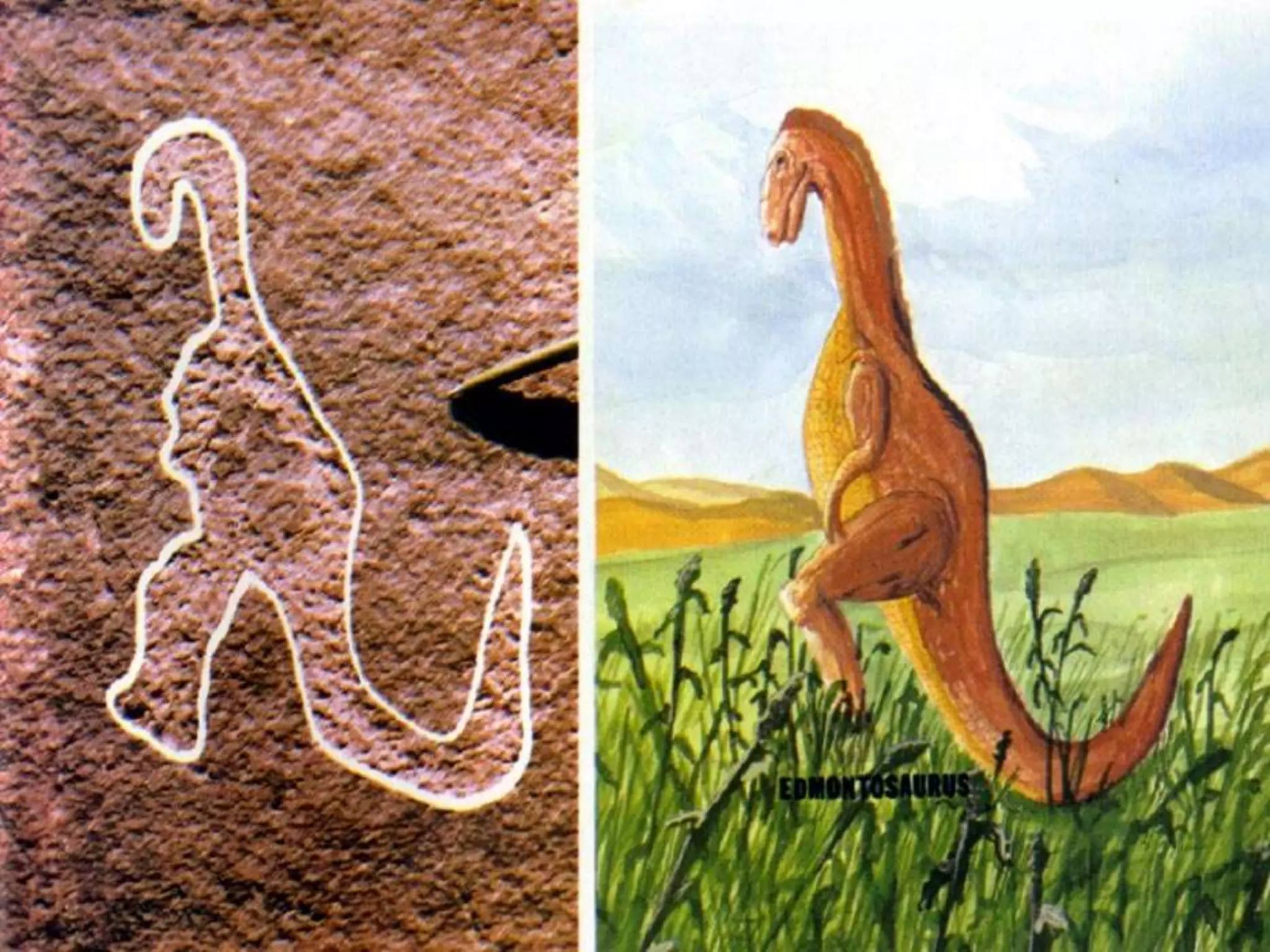 The Last Days 
For this they willfully forget: that by the 
word of God the heavens were of old, and 
the earth standing out of water and in the 
water, by which the world that then existed 
perished, being flooded with water. 
2 Peter 3:5-6 
 