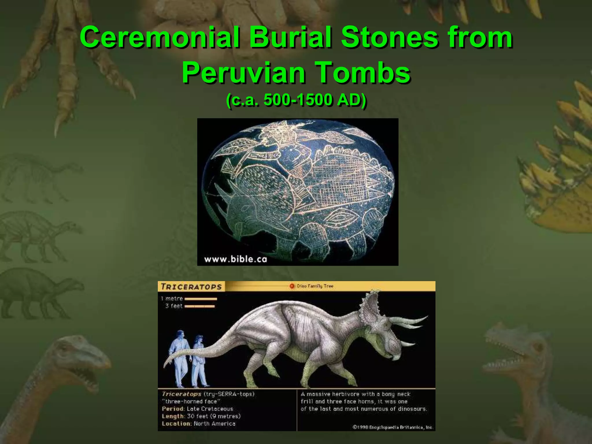 Ceremonial Burial Stones from 
Peruvian Tombs 
(c.a. 500-1500 AD) 
What kind of Dino does this 
look like? 
 