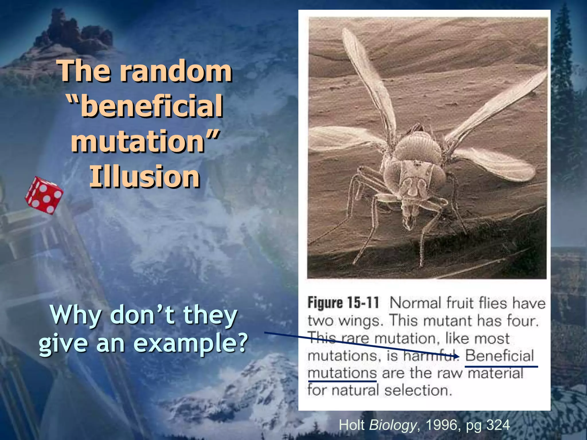 Why don’t they 
give an example? 
Holt Biology, 1996, pg 324 
The random 
“beneficial 
mutation” 
Illusion 
 