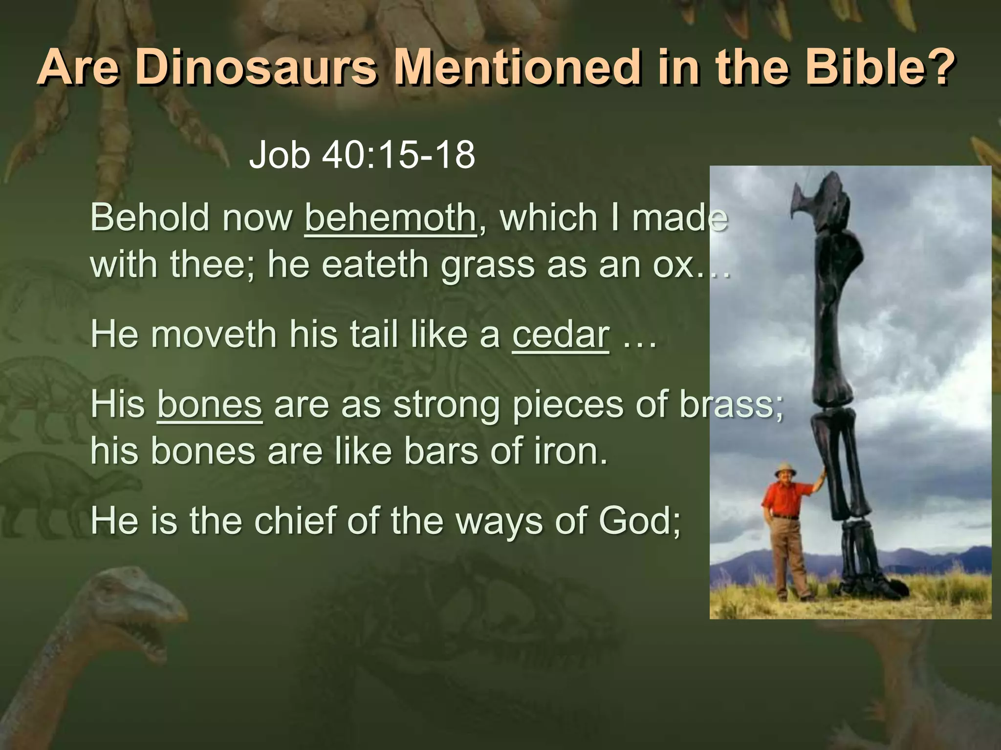 Are Dinosaurs Mentioned in the Bible? 
Job 40:15-18 
Behold now behemoth, which I made 
with thee; he eateth grass as an ox… 
He moveth his tail like a cedar … 
His bones are as strong pieces of brass; 
his bones are like bars of iron. 
He is the chief of the ways of God; 
 