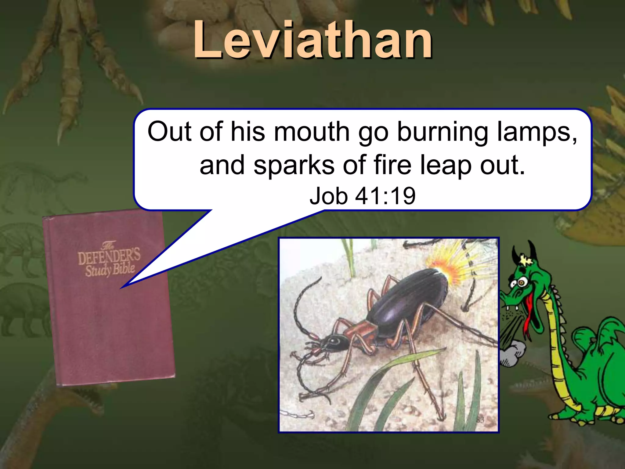 Leviathan 
Out of his mouth go burning lamps, 
and sparks of fire leap out. 
Job 41:19 
 