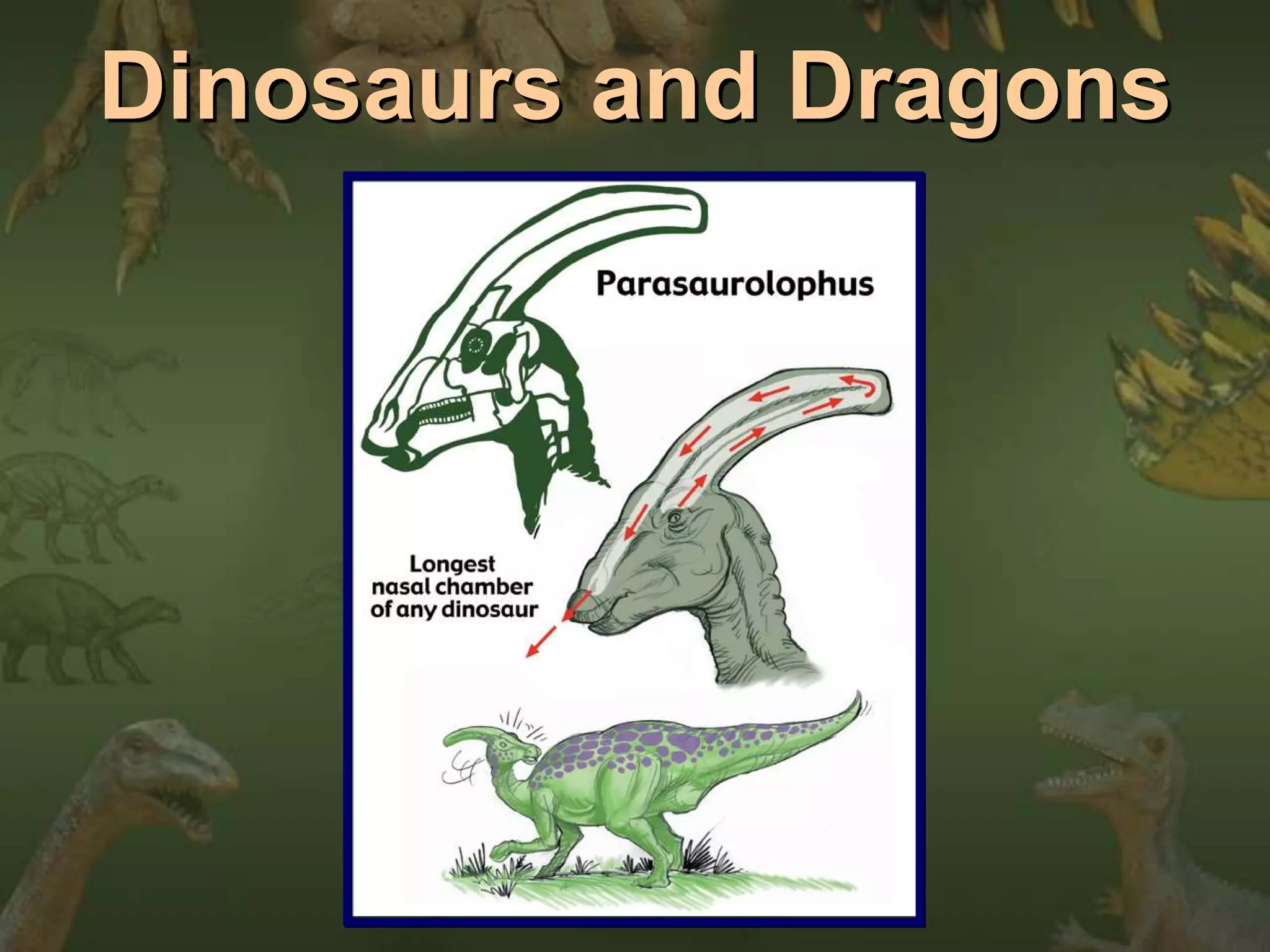 Dinosaurs and Dragons 
 