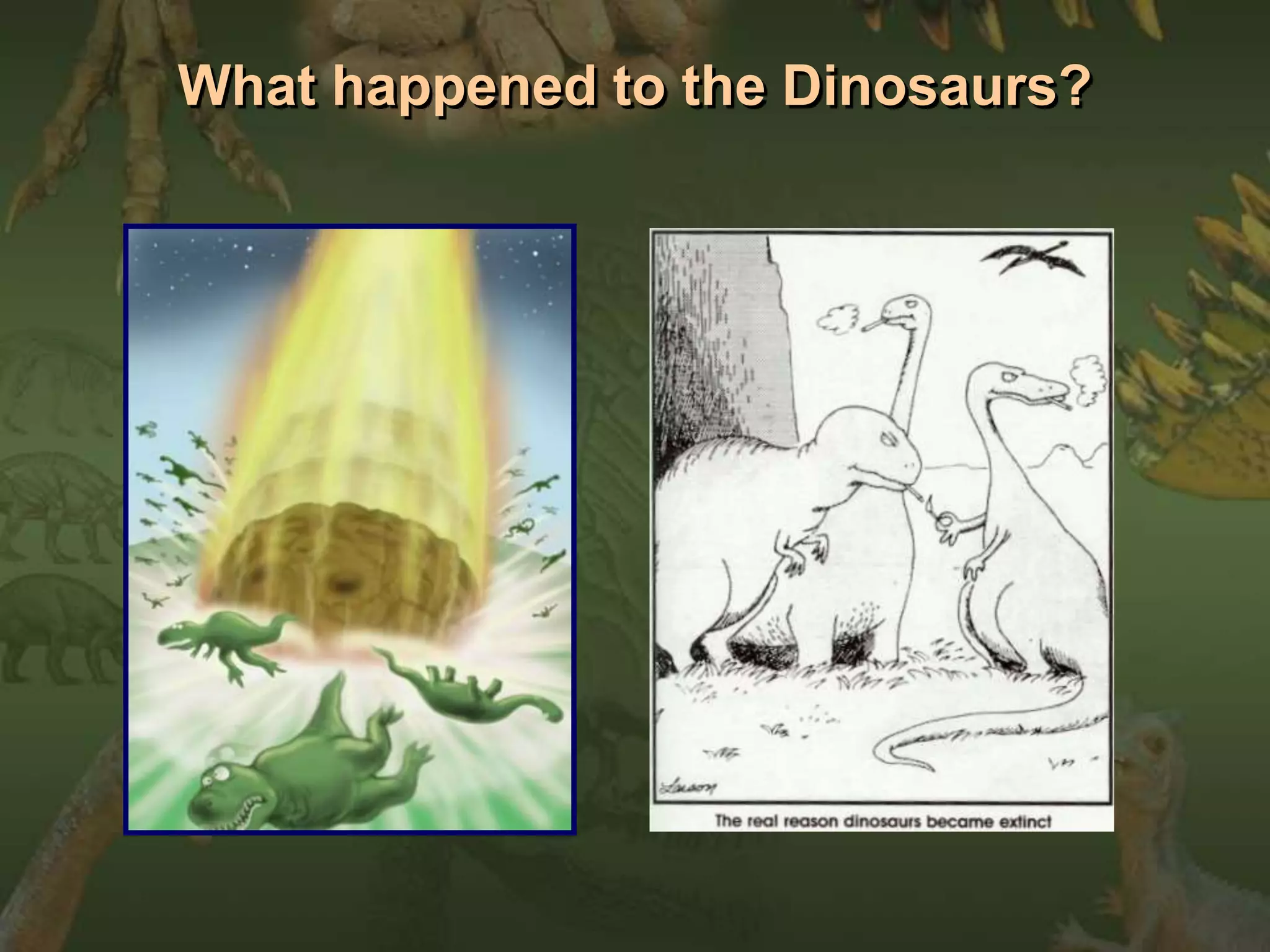 What happened to the Dinosaurs? 
 