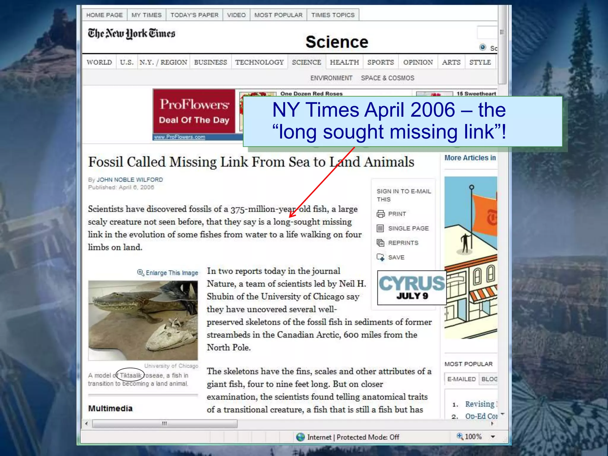 NY Times April 2006 – the 
“long sought missing link”! 
 