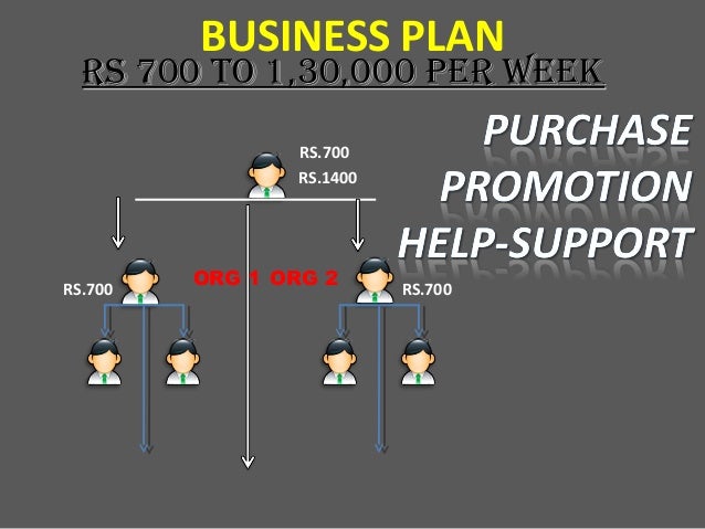 Rmcl business plan pdf 05 picture
